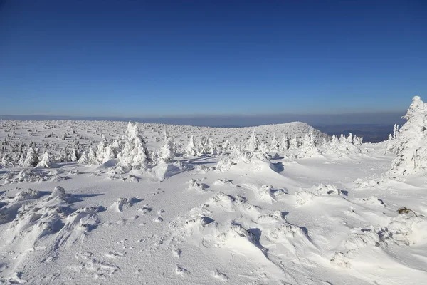 Karpacz Pologne Mars 2020 Sentier Touristique Vers Sniezka Montagne Frontière — Photo