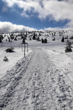 KARPACZ, POLAND - 08 Mart 2020: Sniezka 'ya turist yolu (Çek Cumhuriyeti ile Polonya arasındaki sınır). Kış manzarası. Dev Dağlar, Polonya, Avrupa.