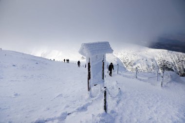 KARPACZ, POLAND - 08 Mart 2020: Snezka ya da Sniezka (Çekçe ve Lehçe) Çek Cumhuriyeti ile Polonya, Dev Dağlar, Polonya, Avrupa,.