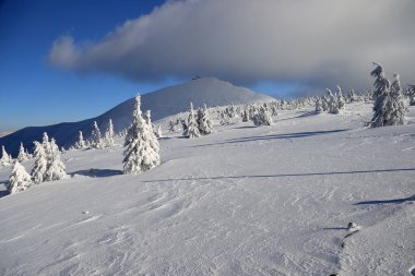 KARPACZ, POLAND - 08 Mart 2020: Snezka veya Sniezka (Çekçe ve Lehçe) Çek Cumhuriyeti ile Polonya sınırı üzerinde bulunan bir dağdır. Kış manzarası. Dev Dağlar, Polonya, Avrupa.