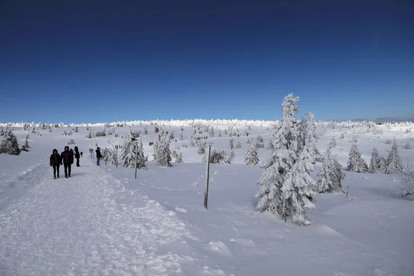 Karpacz Pologne Mars 2020 Sentier Touristique Vers Sniezka Montagne Frontière — Photo