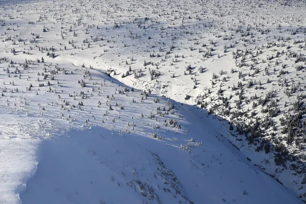 KARPACZ, POLAND - 08 Mart 2020: Sniezka 'ya turist yolu (Çek Cumhuriyeti ile Polonya arasındaki sınır). Kış manzarası. Dev Dağlar, Polonya, Avrupa.