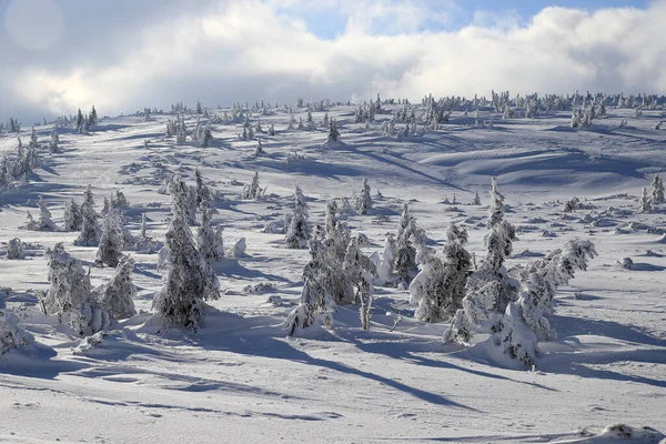 Karpacz Pologne Mars 2020 Sentier Touristique Vers Sniezka Montagne Frontière — Photo