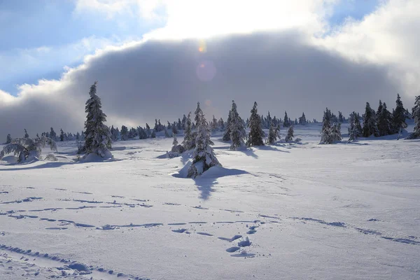 Karpacz Poland March 2020 Tourist Trail Sniezka Mountain Border Czech — 图库照片