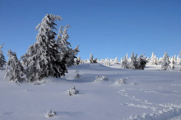 Karpacz Polonia Marzo 2020 Ruta Turística Sniezka Montaña Frontera Entre — Foto de Stock