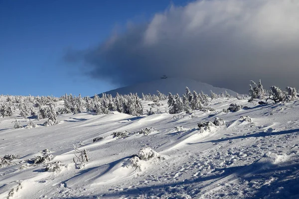 カルパツ ポーランド 2020年3月8日 スネツカ Snezka またはスネツカ Sniezka チェコ共和国とポーランドの国境にある山である 冬の風景 巨人山脈 — ストック写真