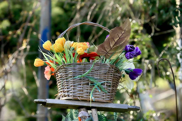庭のウィッカーバスケット 内部の花 — ストック写真