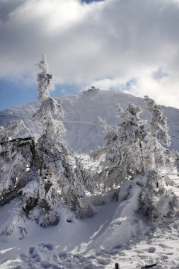 KARPACZ, POLAND - 08 Mart 2020: Snezka veya Sniezka (Çekçe ve Lehçe) Çek Cumhuriyeti ile Polonya sınırı üzerinde bulunan bir dağdır. Kış manzarası. Dev Dağlar, Polonya, Avrupa.