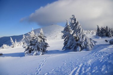 KARPACZ, POLAND - 08 Mart 2020: Snezka veya Sniezka (Çekçe ve Lehçe) Çek Cumhuriyeti ile Polonya sınırı üzerinde bulunan bir dağdır. Kış manzarası. Dev Dağlar, Polonya, Avrupa.