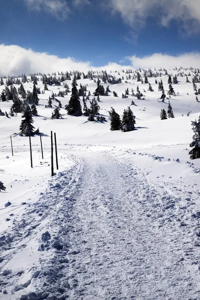 Karpacz Polonia Marzo 2020 Sentiero Turistico Sniezka Montagna Confine Tra — Foto Stock