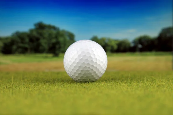 Golfbal Een Golfbaan — Stockfoto