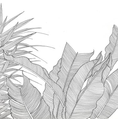 Yabani bir bahçe Siyah kalemle çizim