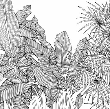 Yabani bir bahçe Siyah kalemle çizim