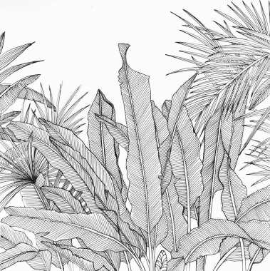 Yabani bir bahçe Siyah kalemle çizim