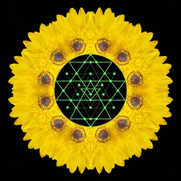 Spiritual background for meditation with sri yantra, life flower and yellow Flowers in mandala
