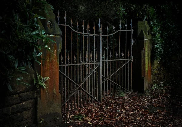 Puerta de hierro oscuro Imágenes de stock libres de derechos