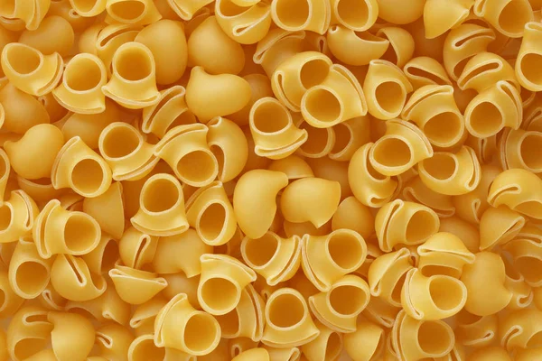 Pasta lumache sfondo — Foto Stock