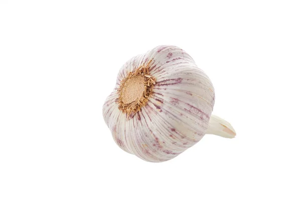 Fresh garlic head on white background — Stock Photo, Image