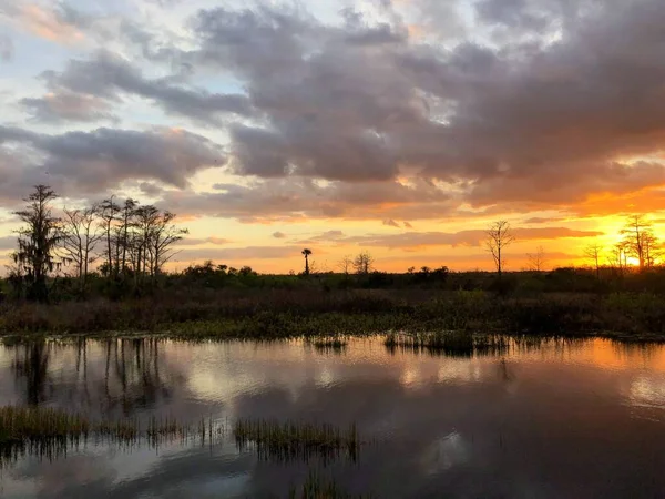 Silhouette of cypress trees and bayou during sunset in the swamp — ストック写真