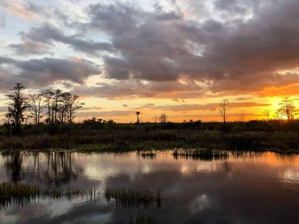 Silhouette of cypress trees and bayou during sunset in the swamp — Stock Fotó