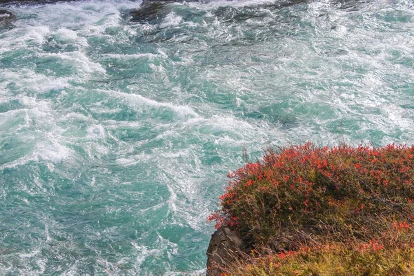 Godafoss καταρράκτη στην Ισλανδία με όμορφα φθινοπωρινά χρώματα — Φωτογραφία Αρχείου