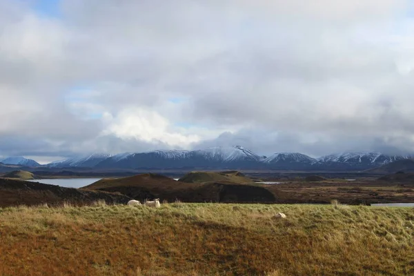 Кратеры Исландии от вулканов — стоковое фото