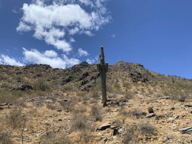 Piestewa Tepesi, Arizona 'da Kızılderili Tepesi