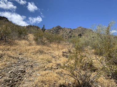 Piestewa Tepesi, Arizona 'da Kızılderili Tepesi