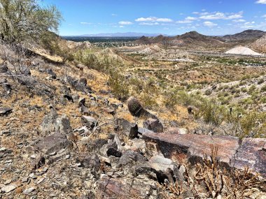 Arizona Çöl Yürüyüşü