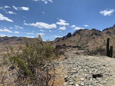 Arizona Çöl Yürüyüşü