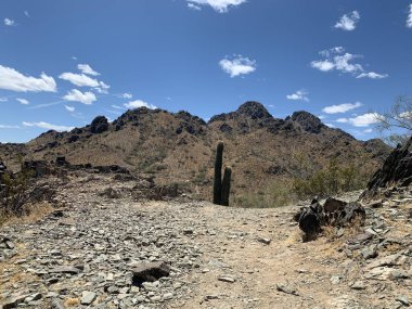 Arizona Çöl Yürüyüşü