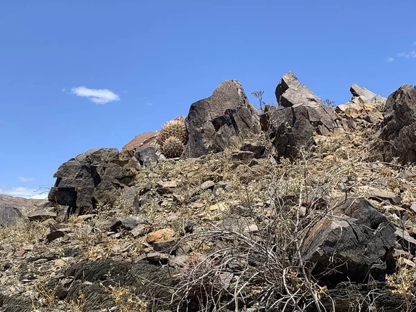 Phoenix, pouštní hora Arizona — Stock fotografie