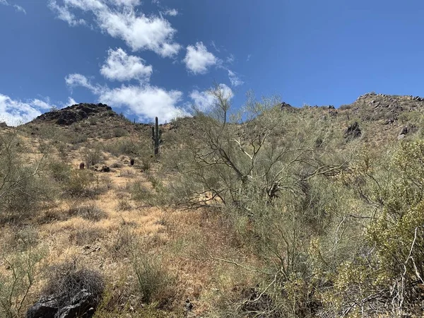 Arizona Desert Randonnée pédestre — Photo