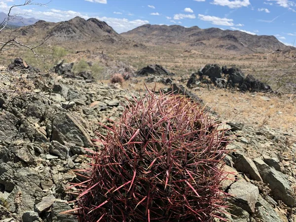 Аризона: пеший поход в пустыню — стоковое фото