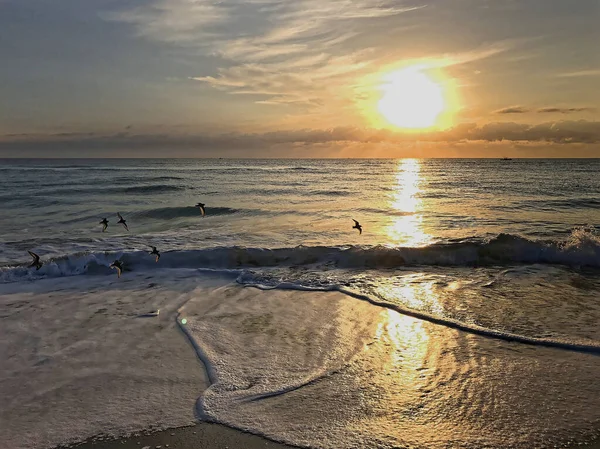 Morgen am Strand von Miami Ocean — Stockfoto