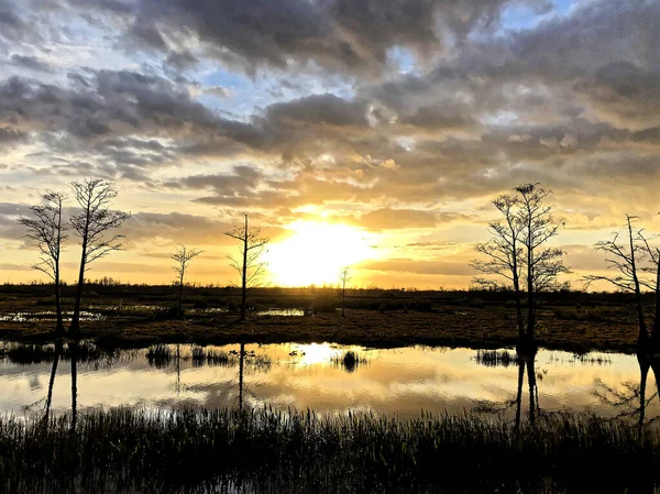 Silhouette of cypress trees and bayou during sunset in the swamp — Stock Fotó