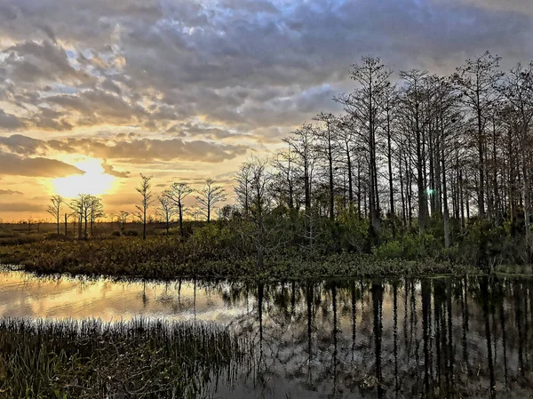 Silhueta de ciprestes e bayou durante o pôr do sol no pântano — Fotografia de Stock