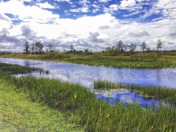 Louisiana Zypressensumpf und Fluss — Stockfoto