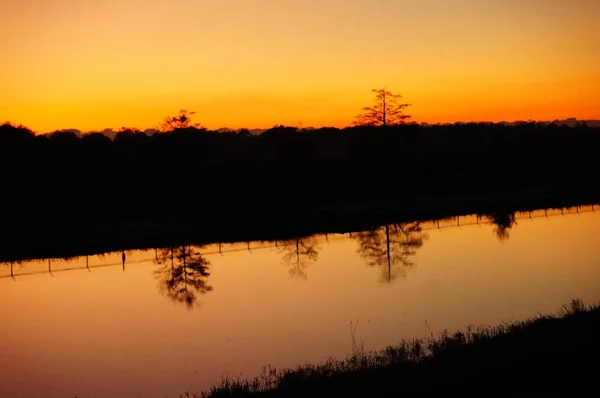 Pântano Sunrise na Flórida — Fotografia de Stock