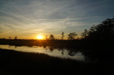 Bataklıkta gün batımı