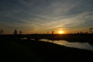 Bataklıkta gün batımı