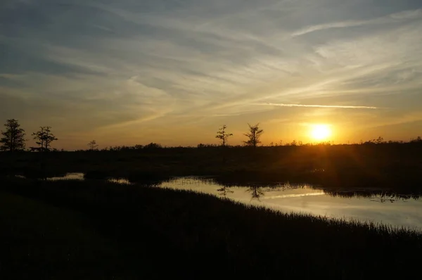 Захід сонця в болоті — стокове фото