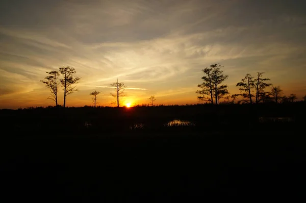 Pôr do sol no pântano — Fotografia de Stock