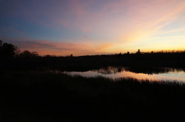 Захід сонця в болоті — стокове фото