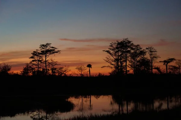Sunset in the swamp — Stock Photo, Image