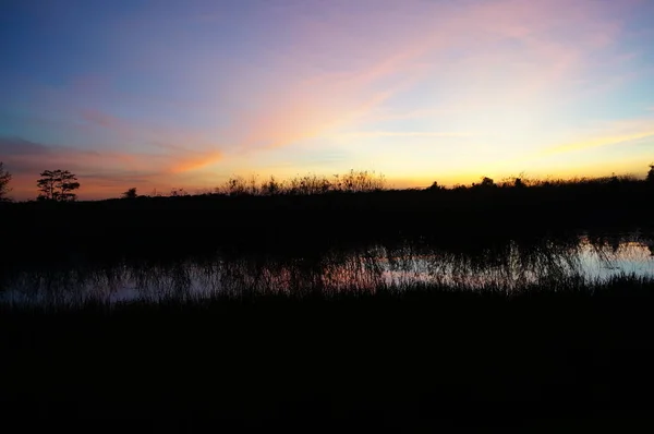 Pôr do sol no pântano — Fotografia de Stock