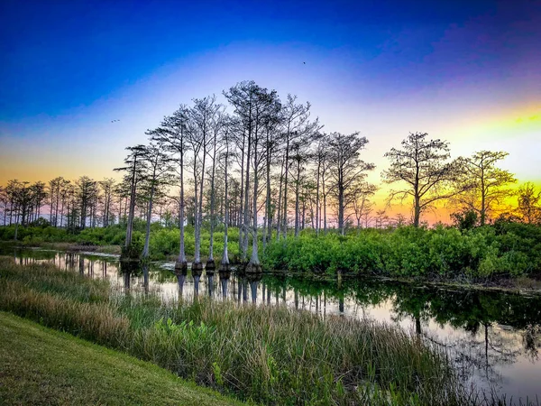 Silhouette of cypress trees and bayou during sunset in the swamp — Stockfoto