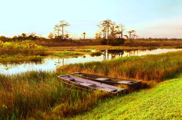 Blechboote in einem Louisiana-Sumpf — Stockfoto