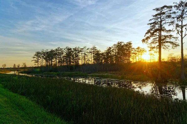 Louisiana Sumpf Sonnenuntergang Silhouette und Reflexionen — Stockfoto