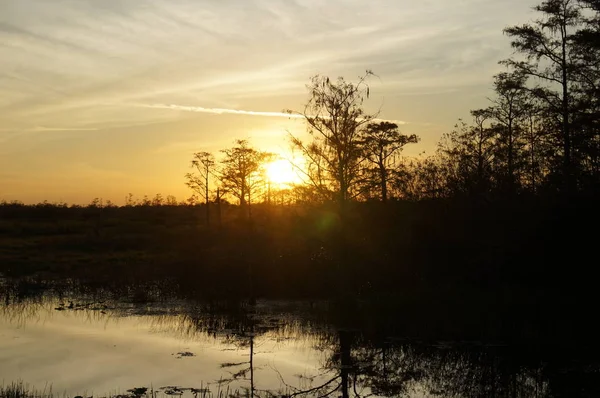 Zonsondergang in het moeras — Stockfoto